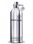 Montale Chocolate Greedy EDP 100 ml