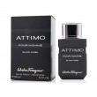 Attimo Black Musk EDT 100 ml
