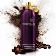 Montale Intense Cafe EDP 100 ml